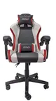 Silla Gamer JEMIP