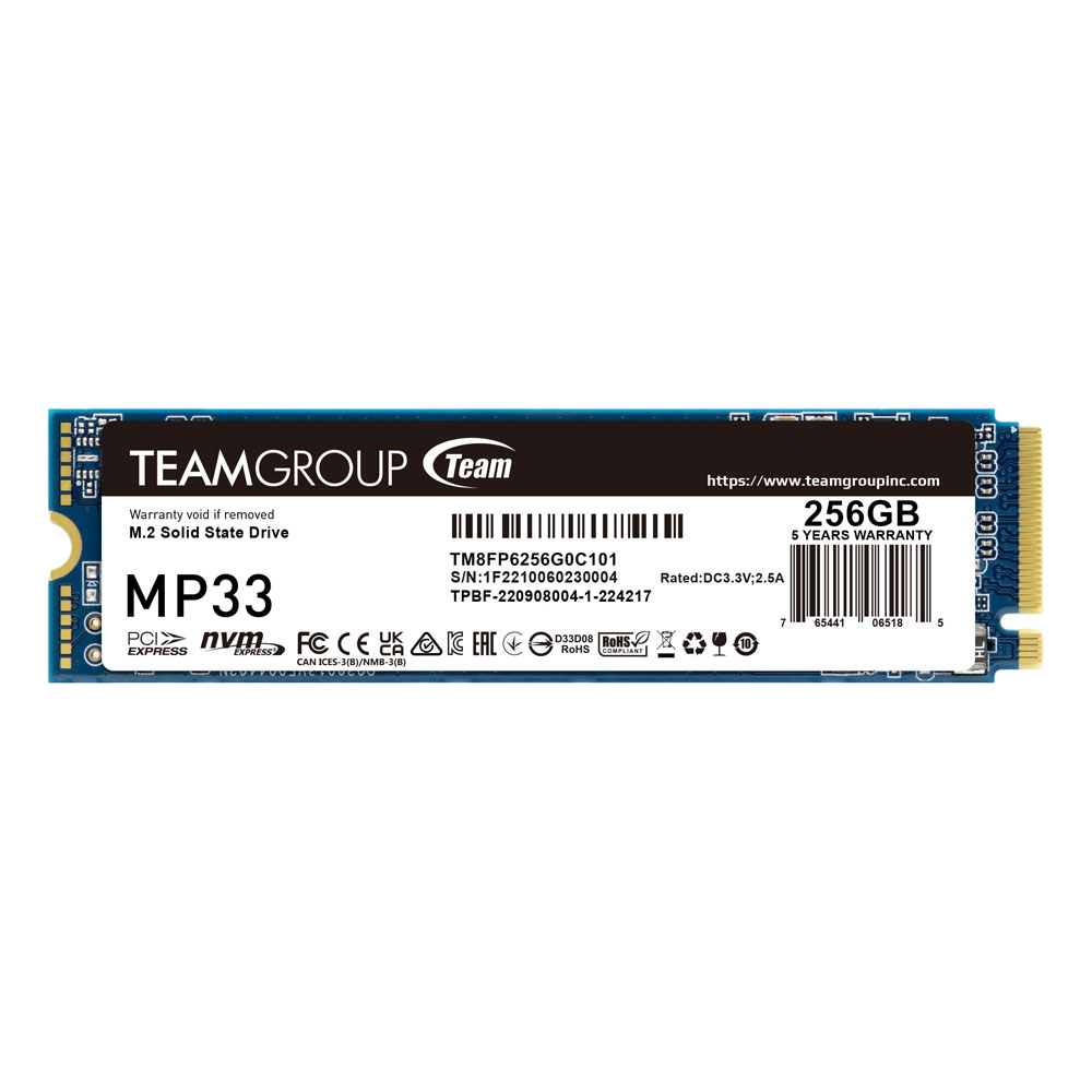 MP33 M.2 PCIe SSD