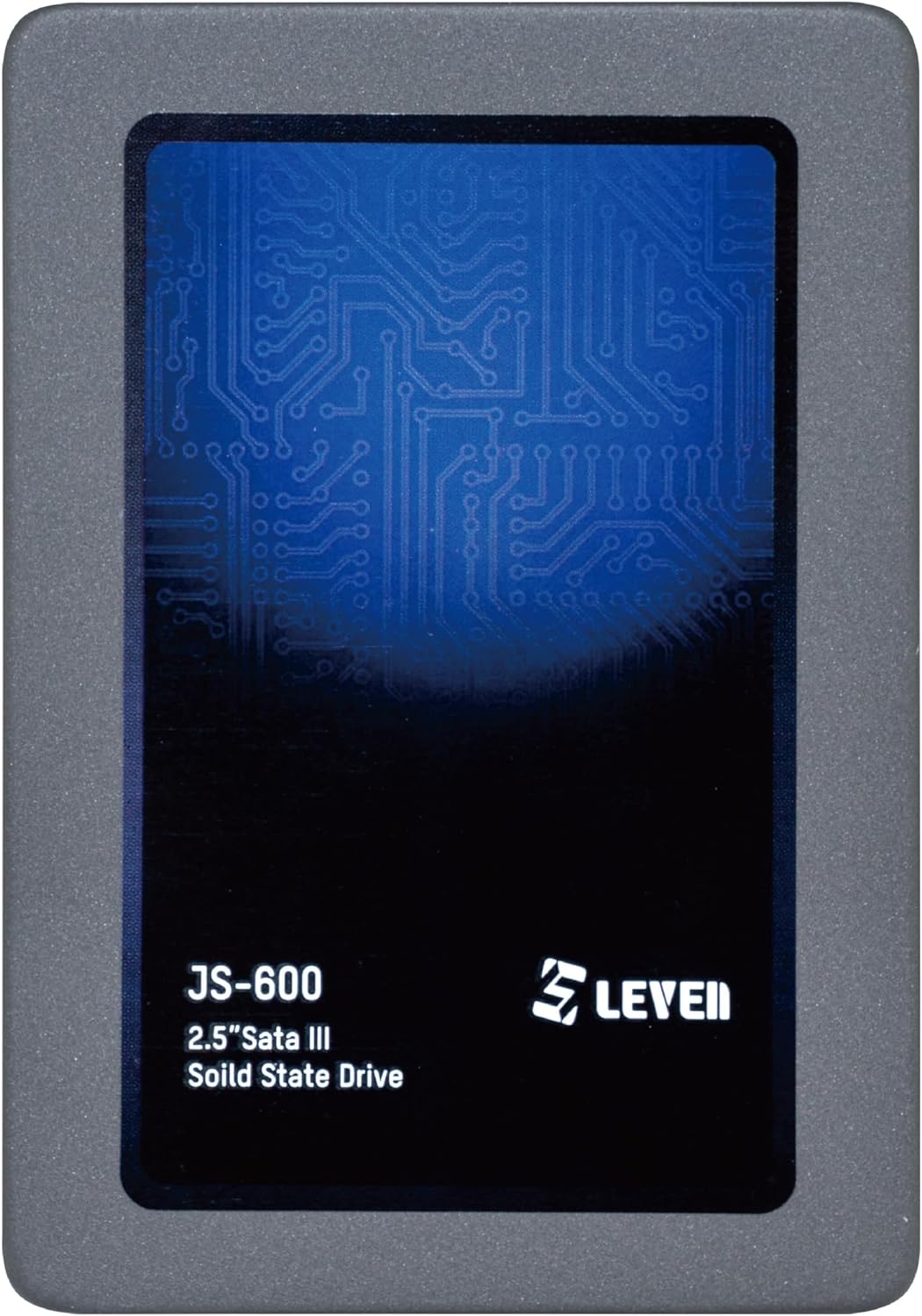 LEVEN 256 GB JS-600